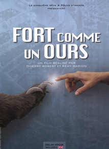 FORT COMME UN OURS
