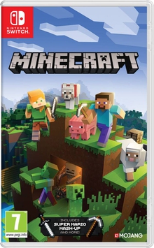 MINECRAFT SWITCH