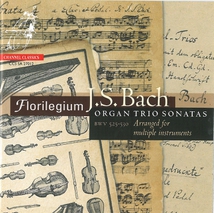 SONATES EN TRIO BWV  525-530 (ARRANGEMENTS)