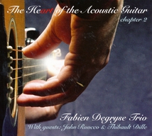 HEART OF THE ACOUSTIC GUITAR (CHAPTER 2)