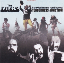 TENDERNESS JUNCTION / IT CRAWLED INTO MY HAND HONEST