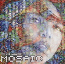 THE MOSAIC PROJECT