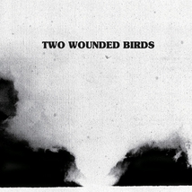 TWO WOUNDED BIRDS