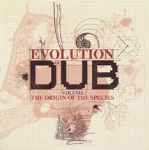 EVOLUTION OF DUB (VOLUME 1 - THE ORIGIN OF THE SPECIES)