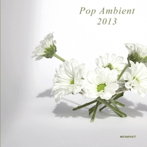 POP AMBIENT 2013