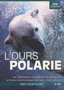 L'OURS POLAIRE