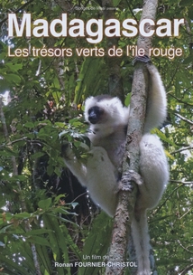 MADAGASCAR - LES TRÉSORS VERTS DE L'ÎLE ROUGE