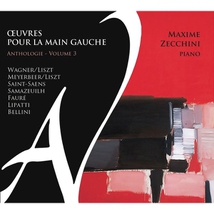 ZECCHINI - OEUVRES POUR LA MAIN GAUCHE - ANTHOLOGIE: VOL.3