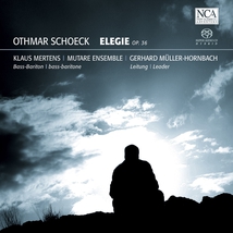 ELEGIE OP.36