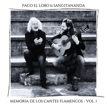 MEMORIA DE LOS CANTES FLAMENCO, VOL.1