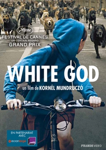 WHITE GOD