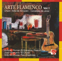 ARTE FLAMENCO, VOL.1