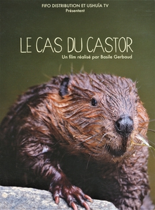 LE CAS DU CASTOR
