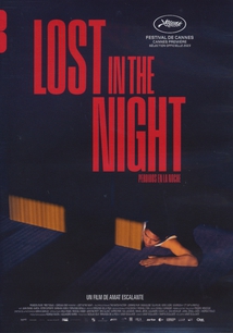 LOST IN THE NIGHT