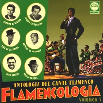 ANTOLOGIA DEL CANTE FLAMENCO: FLAMENCOLOGIA VOLUMEN 7