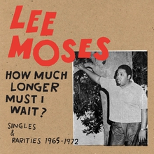 HOW MUCH LONGER MUST I WAIT? SINGLES & RARITIES 1965-1972