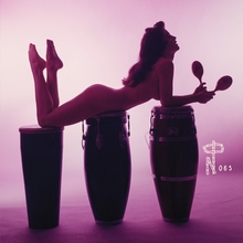 TECHNICOLOR PARADISE: RHUM RHAPSODIES & OTHER EXOTIC DELIGHT