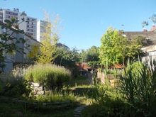 SORTIR DE CE JARDIN