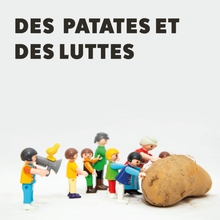 DES PATATES ET DES LUTTES