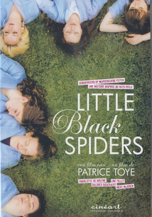 LITTLE BLACK SPIDERS