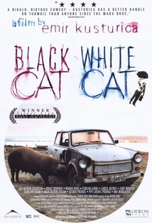 BLACK CAT WHITE CAT