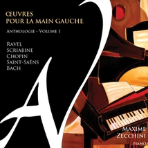 ZECCHINI - OEUVRES POUR LA MAIN GAUCHE - ANTHOLOGIE: VOL.1