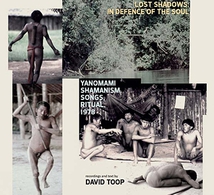 LOST SHADOWS: IN DEFENCE OF THE SOUL - YANOMAMI SHAMANISM...