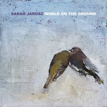 WORLD ON THE GROUND