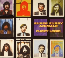 FUZZY LOGIC (DELUXE EDITION)