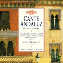CANTE ANDALUZ: FLAMENCO SONG