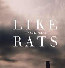LIKE RATS