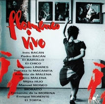 FLAMENCO VIVO