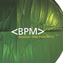 BRAZILIAN VIBE EXPERIENCE