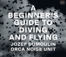 A BEGINNER'S GUIDE TO DIVING AND FLYING