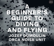 A BEGINNER'S GUIDE TO DIVING AND FLYING
