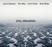 STILL DREAMING