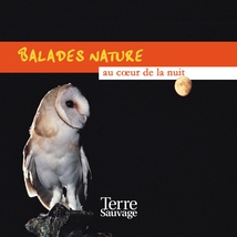 BALADES NATURE... AU COEUR DE LA NUIT