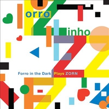 FORRO ZINHO: FORRO IN THE THE DARK PLAYS ZORN