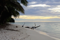 Alofi, Wallis-et-Futuna, une photo d’Anna Vinet (via wikicommons)