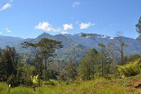 Les Highlands de la Papouasie-Nouvelle-Guinée, une photo de eGuide Travel (wikicommons)