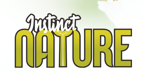Avatar Instinct Nature 02.jpg