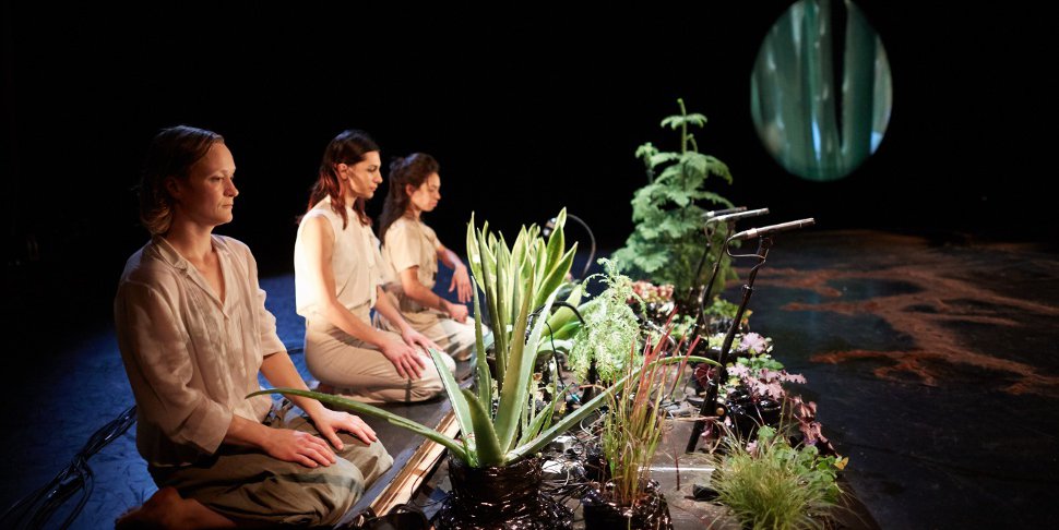 Leaves of Grass - Bud Blumenthal - photo (c) Pierre Wachholder