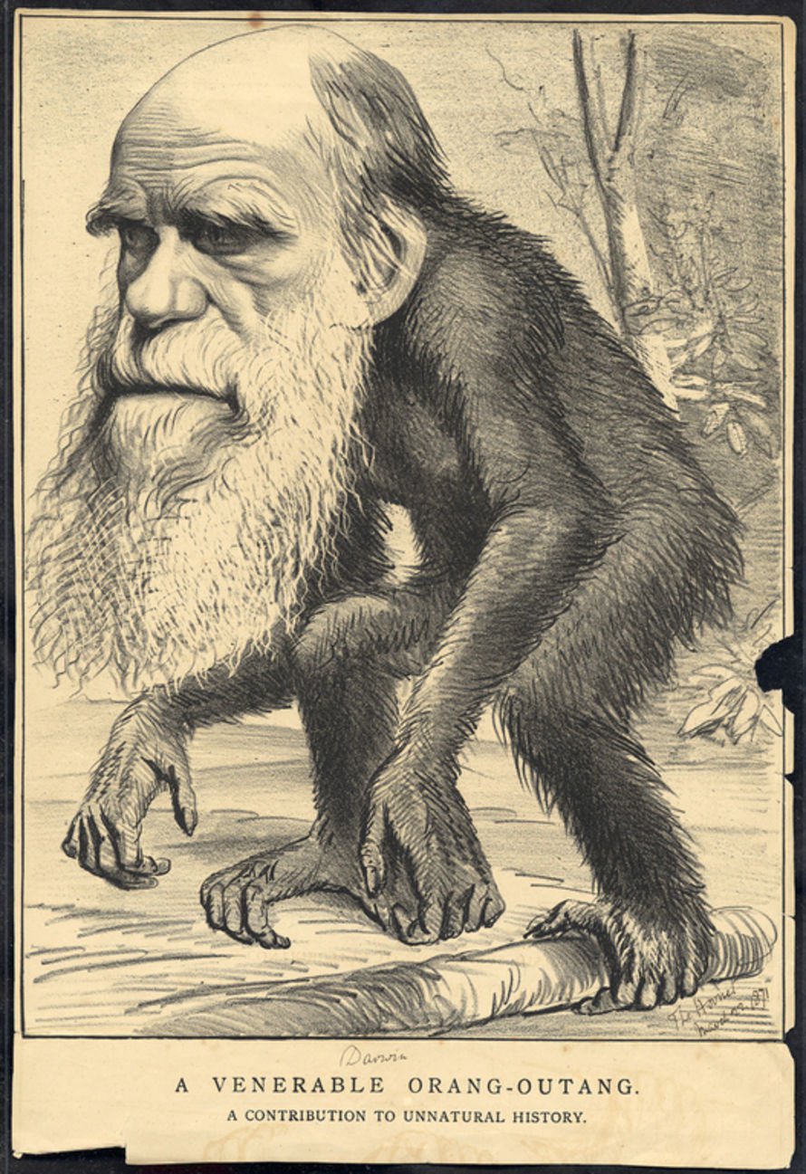 Darwin l'original", exposition sur un personnage à la fois connu et méconnu | PointCulture
