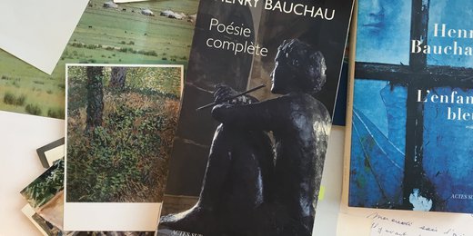 fonds henry Bauchau illu officielle