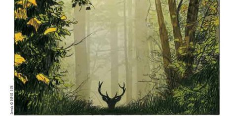 Le cerf, une histoire de passion_couv