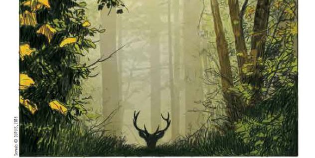 Le cerf, une histoire de passion_couv