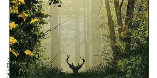 Le cerf, une histoire de passion_couv