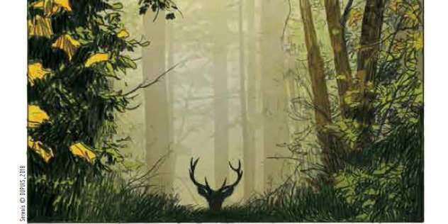Le cerf, une histoire de passion_couv