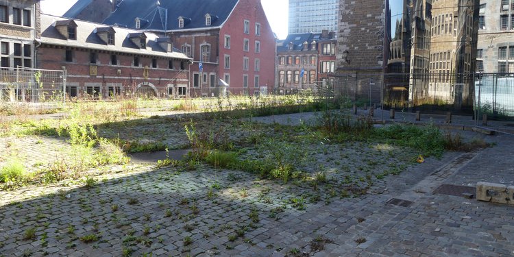 Nature en ville (Liège)