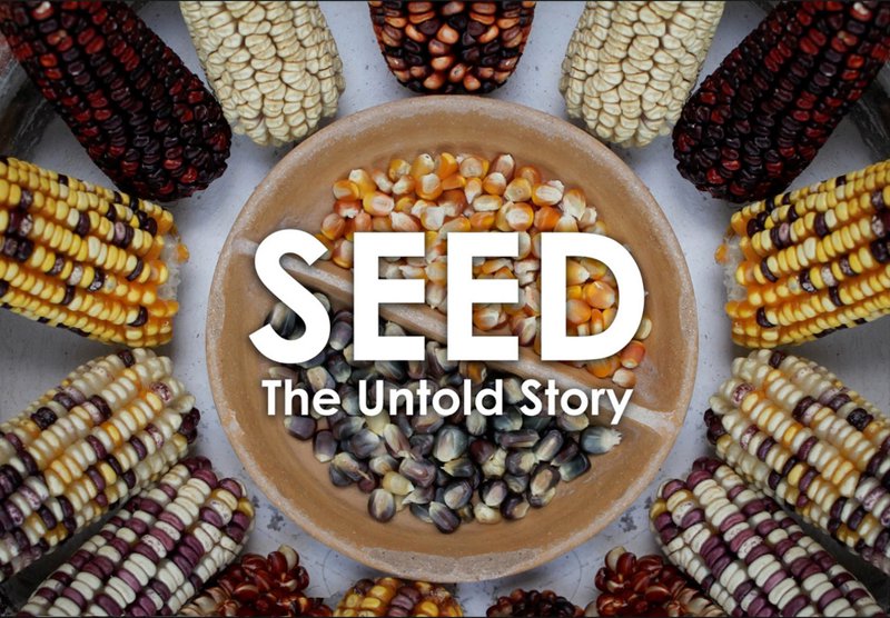 Seed - The Untold Story